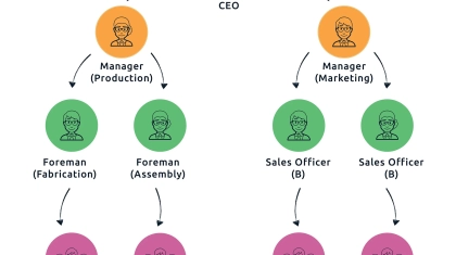 Organizational-Structure