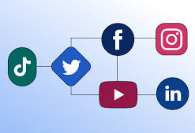 Maximizing your Reach Results and Presence Online Powerfully and Intelligently
